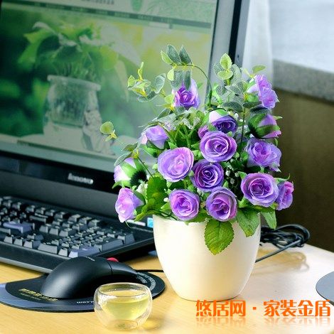 室內(nèi)盆栽選擇有哪些講究？ 
